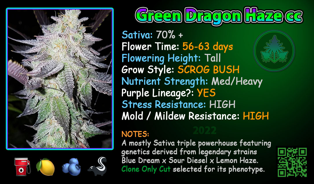 Official Dankalicious CLONE ONLY CUT - $500