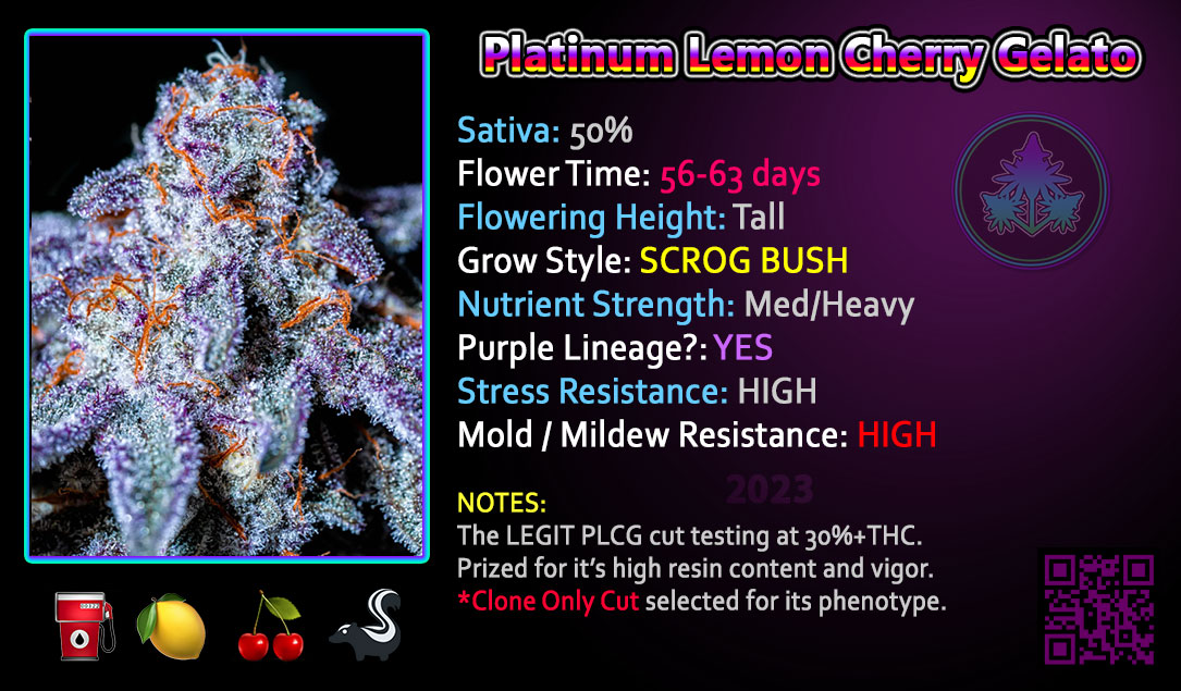 Leafdoctor verified CLONE ONLY CUT - $1250